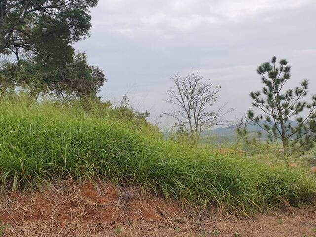 Terreno para Venda em Bom Jesus dos Perdões - 5