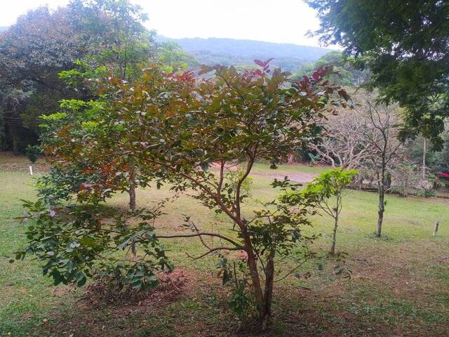 Chácara para Venda em Atibaia - 5