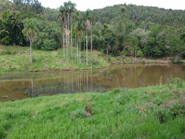 Chácara para Venda em Nazaré Paulista - 5