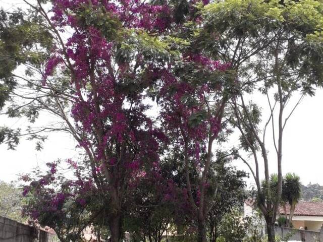 Chácara para Venda em Piracaia - 5