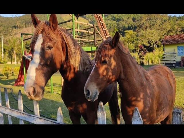 Chácara para Venda em Nazaré Paulista - 3