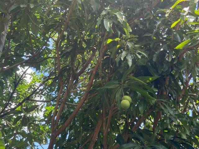 Terreno em condomínio para Venda em Atibaia - 5