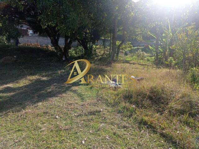 Venda em Jardim Estância Brasil - Atibaia