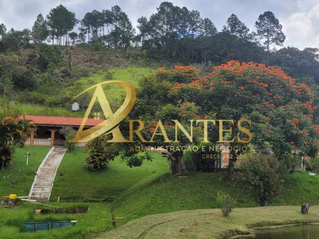 #2379 - Sítio para Venda em Campo Limpo Paulista - SP