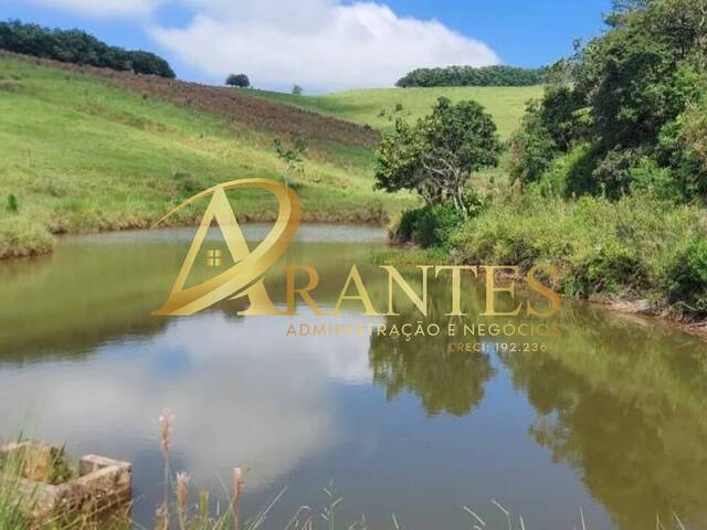 #2383 - Fazenda para Venda em Santa Isabel - SP