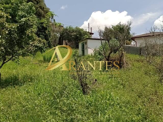 Venda em Terra Preta - Atibaia