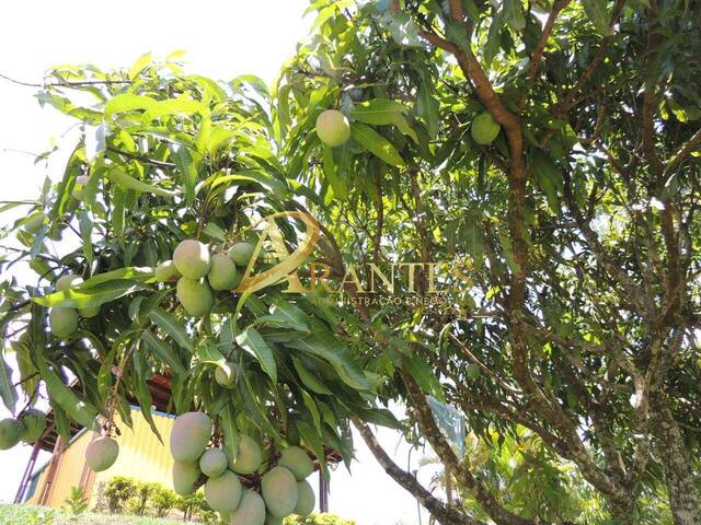 #2421 - Chácara para Venda em Atibaia - SP
