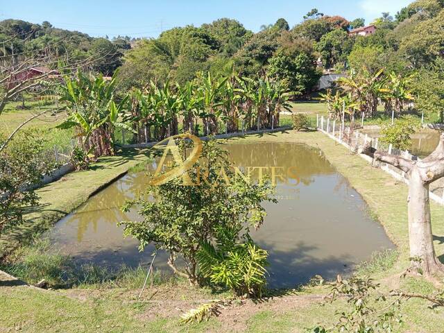 Chácara para Venda em Jarinu - 3