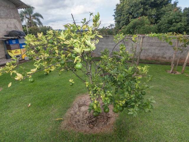 Chácara para Venda em Atibaia - 4