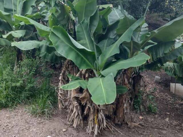 Terreno para Venda em Atibaia - 3