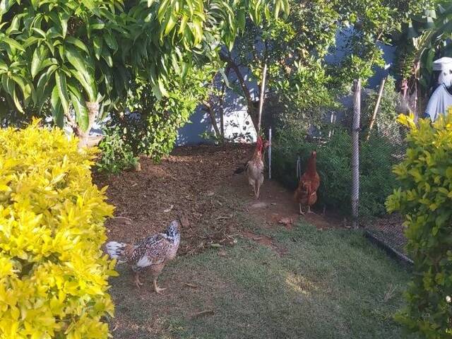Casa em condomínio para Venda em Atibaia - 2