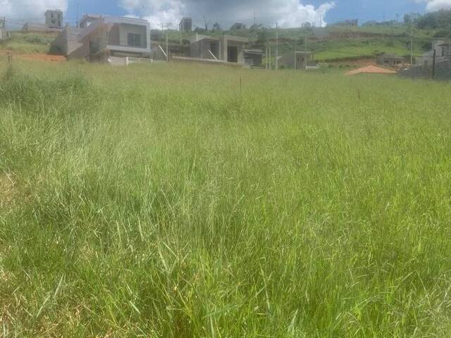 Terreno para Venda em Bom Jesus dos Perdões - 3