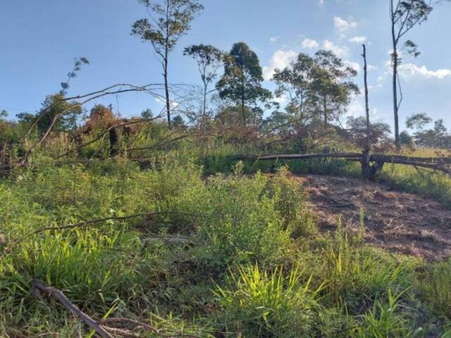 Venda em Terra Preta - Mairiporã