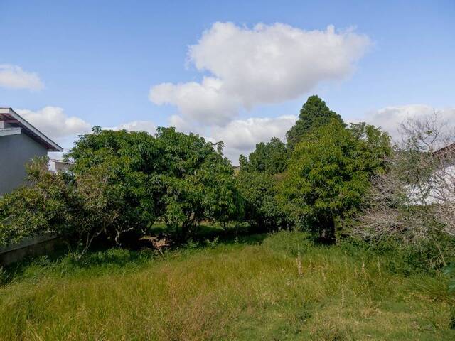 Terreno para Venda em Piracaia - 5
