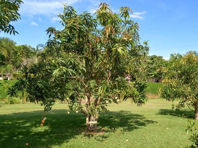 Chácara para Venda em Atibaia - 2