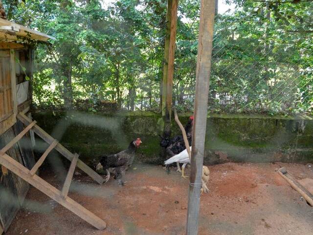 Chácara para Venda em Atibaia - 4