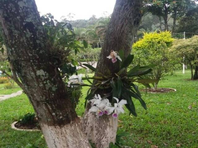 Chácara para Venda em Bragança Paulista - 5