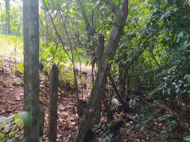 Terreno para Venda em Atibaia - 2