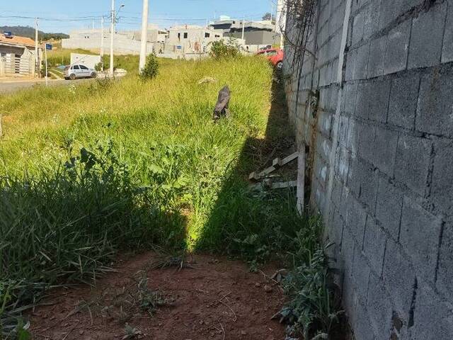 Terreno para Venda em Bom Jesus dos Perdões - 3