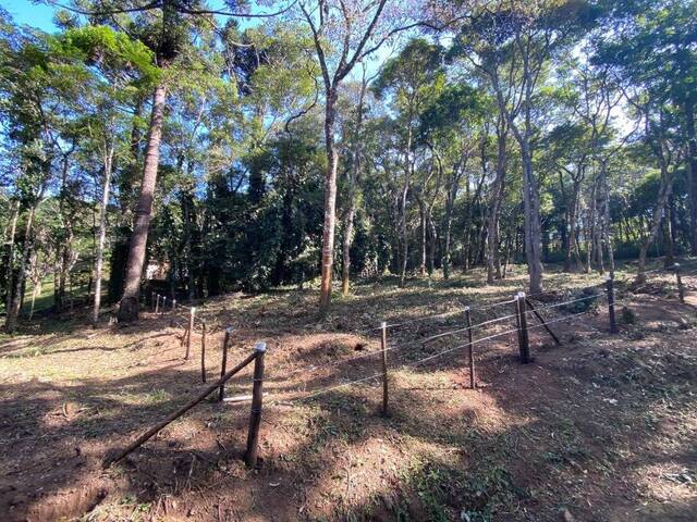 Terreno para Venda em Atibaia - 3