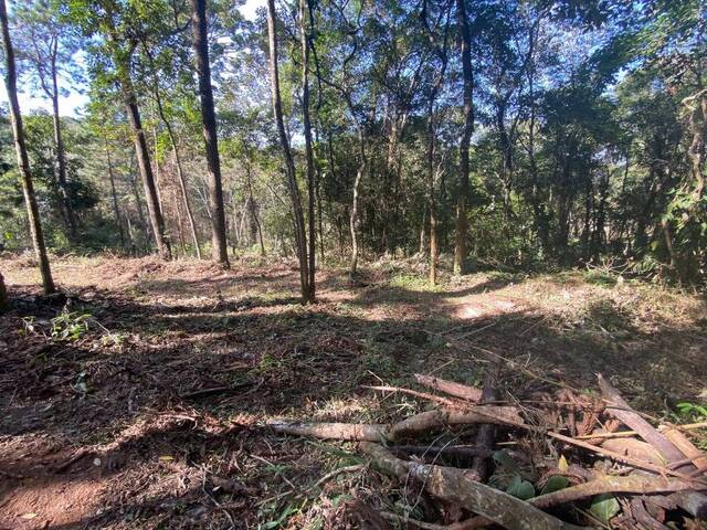 Terreno para Venda em Atibaia - 5