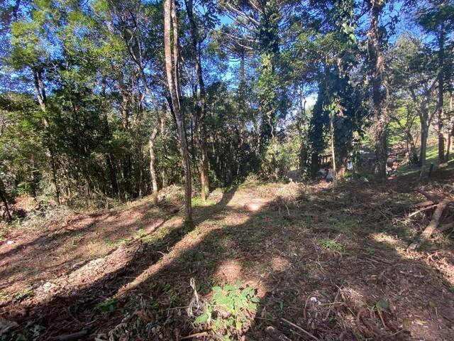 Terreno para Venda em Atibaia - 3