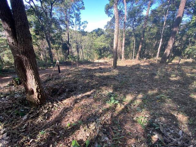 Terreno para Venda em Atibaia - 4
