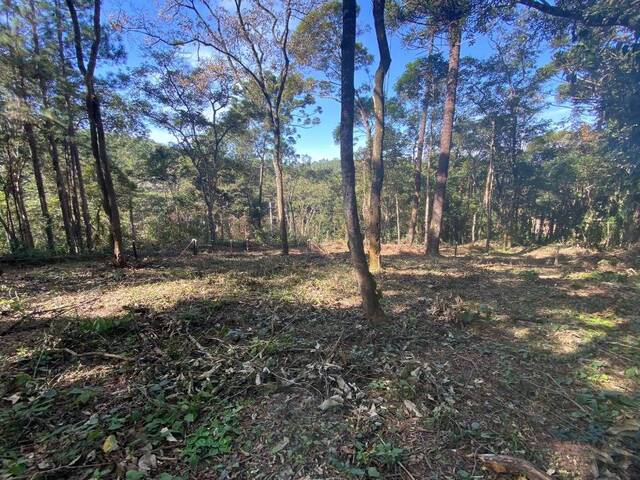 Terreno para Venda em Atibaia - 5