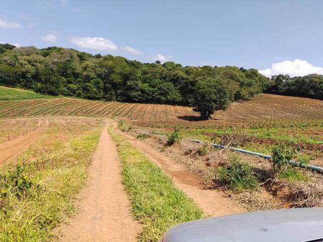 Sítio para Venda em Pinhalzinho - 2