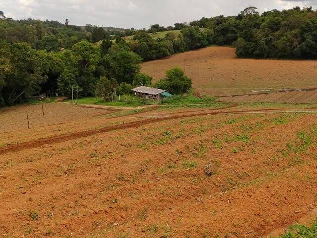 Sítio para Venda em Pinhalzinho - 3