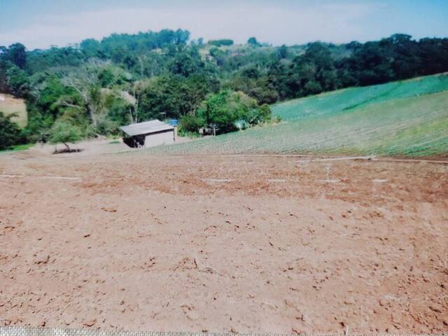 Sítio para Venda em Pinhalzinho - 5