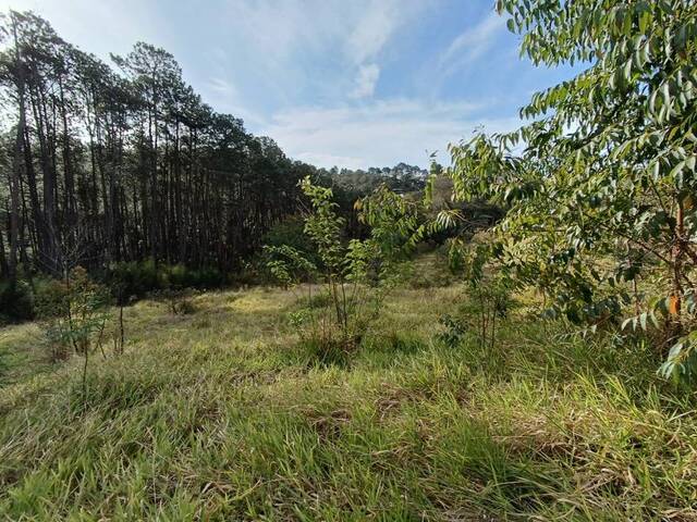 Terreno para Venda em Atibaia - 5