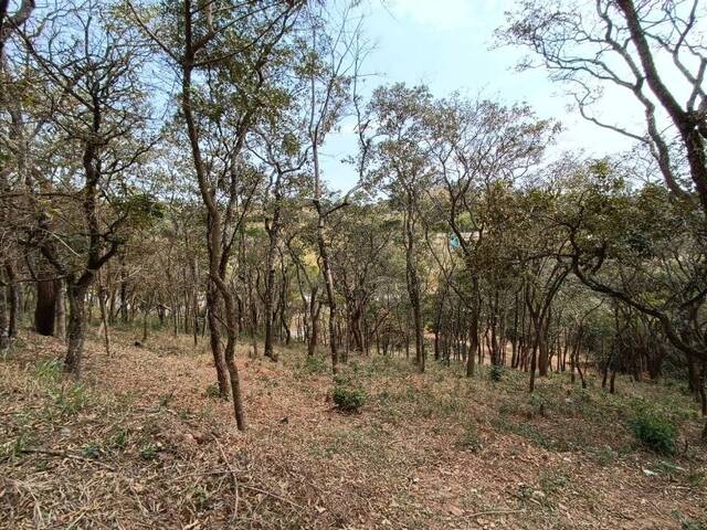 Terreno para Venda em Atibaia - 3