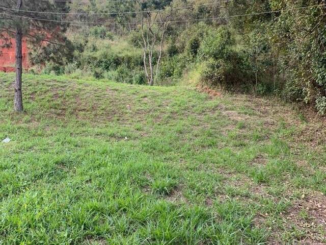 Terreno para Venda em Bom Jesus dos Perdões - 2