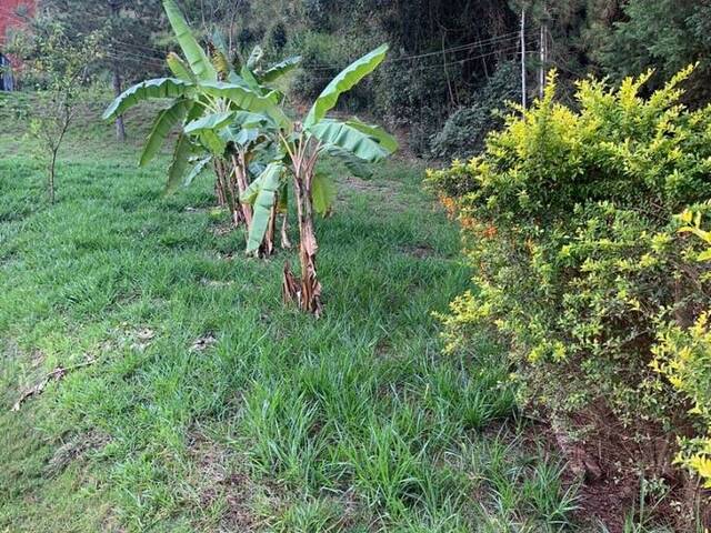 Terreno para Venda em Bom Jesus dos Perdões - 3