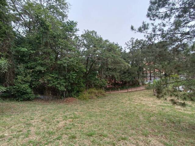 Terreno para Venda em Bom Jesus dos Perdões - 5