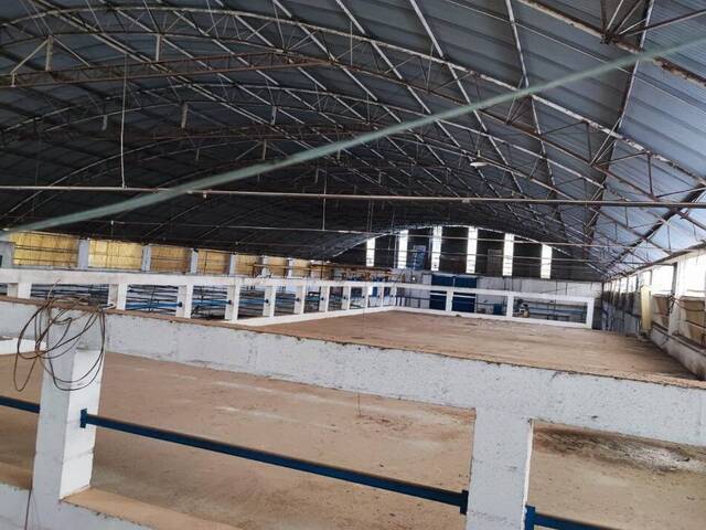 Galpão para Locação em Mairiporã - 3