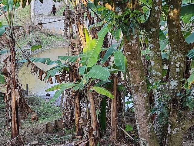 Chácara para Venda em Jarinu - 2