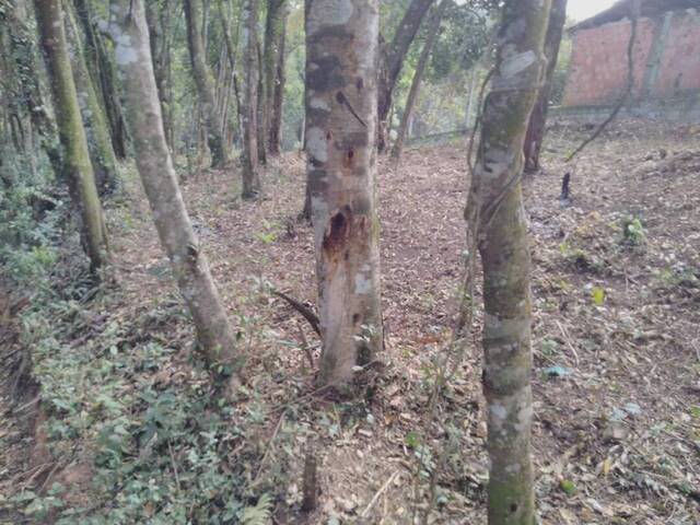 Terreno para Venda em Atibaia - 5