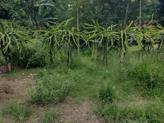 Terreno para Venda em Atibaia - 2