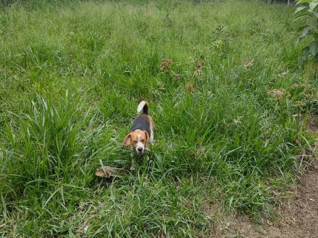Terreno para Venda em Atibaia - 3