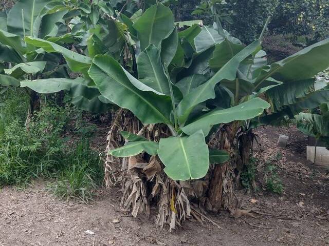 Terreno para Venda em Atibaia - 4