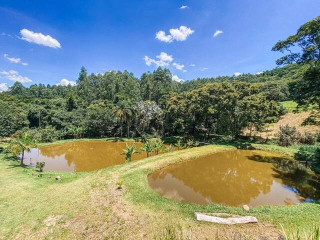 Sítio para Venda em Piracaia - 2