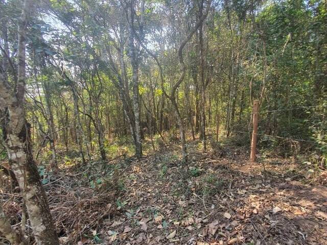 Terreno para Venda em Jarinu - 2