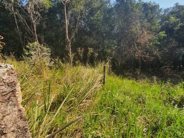 Terreno para Venda em Jarinu - 4