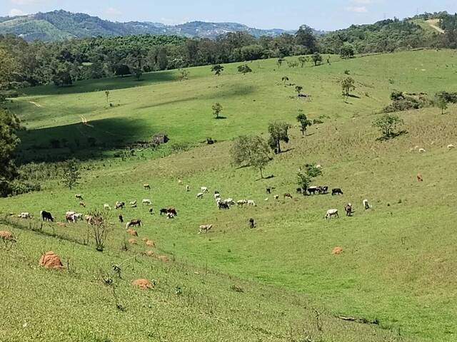Terreno para Venda em Atibaia - 4
