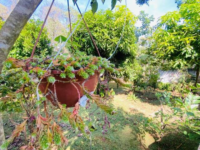 Chácara para Venda em Atibaia - 5