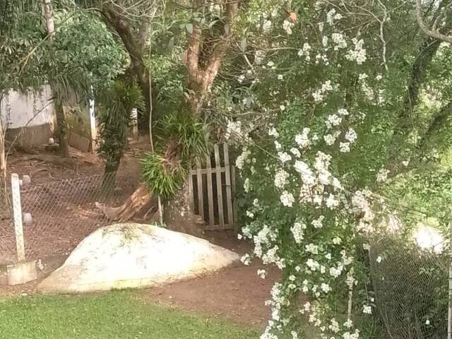 Chácara para Venda em Mairiporã - 2