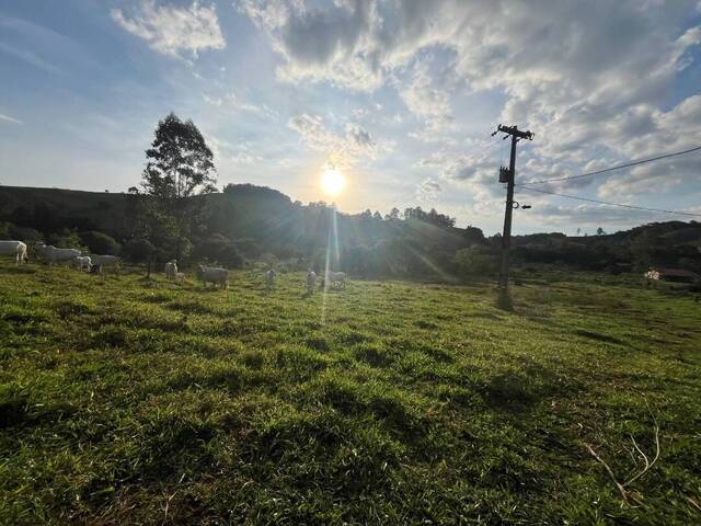 Área para Venda em Atibaia - 3