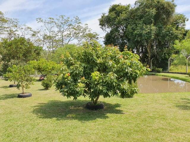 Chácara para Venda em Bom Jesus dos Perdões - 4